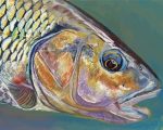 Barbel Fish Underwater Paint by numbers