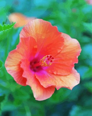 Coral flower paint by number