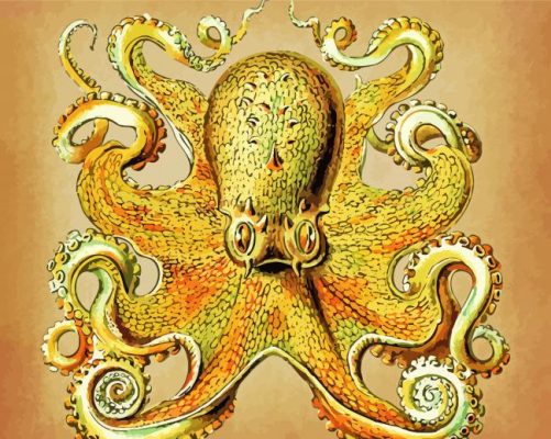 Golden Octopus paint by numbers