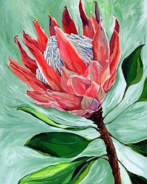 King Protea Plant Art paint by numbers