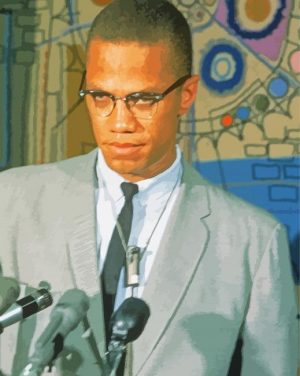 Malcolm X paint by numbers