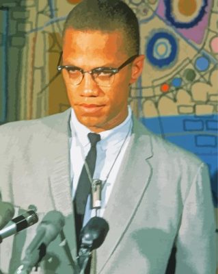 Malcolm X paint by numbers