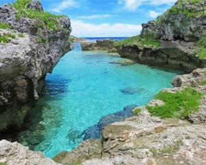 Niue island paint by numbers