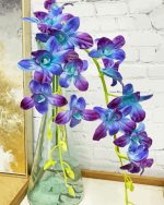 Ocean Breeze Orchid paint by numbers