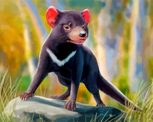 Tasmanian Devil Illustration paint by numbers