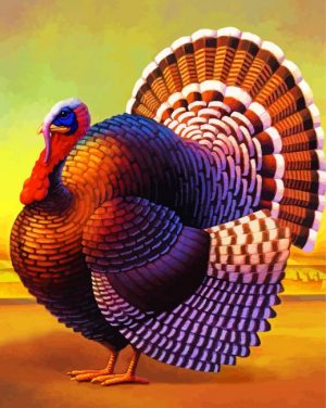 Turkey Bird paint by numbers