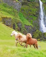 Waterfall Horses paint by numbers