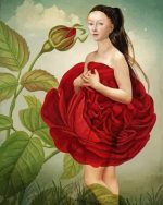 Woman Red Flower paint by numbers