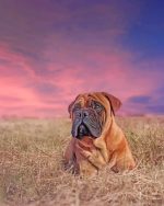 Aesthetic Bullmastiff paint by numbers