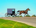 Amish Buggy Illustration paint by numbers