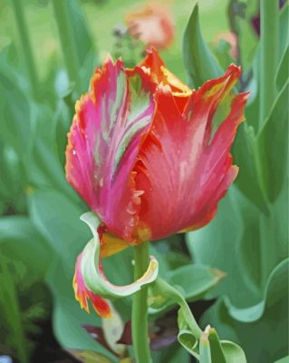 Parrot Flower paint by numbers