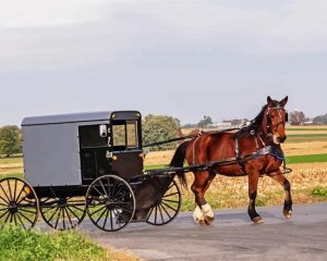 Amish Buggy paint by numbers