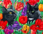 Black Cats Paint by numbers