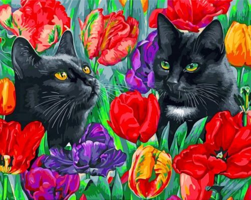 Black Cats Paint by numbers