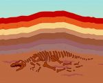 Brainpop Fossils paint by numbers