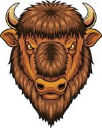 Brown Bison Head paint by numbers