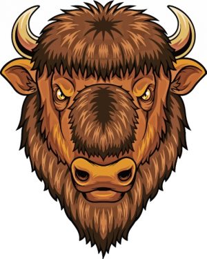 Brown Bison Head paint by numbers