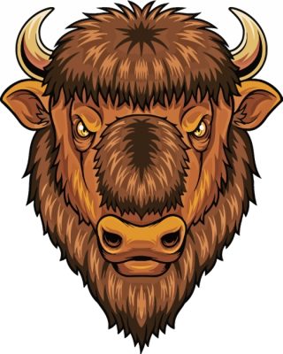 Brown Bison Head paint by numbers