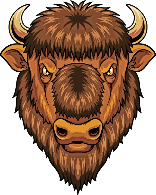 Brown Bison Head paint by numbers