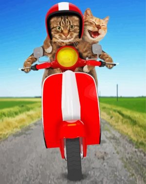 Cats On Scooter paint by numbers