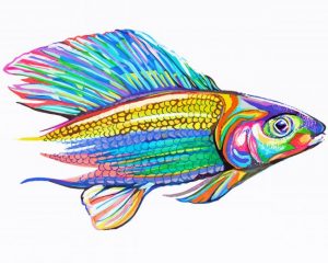 Colorful Grayling Fish Paint by numbers