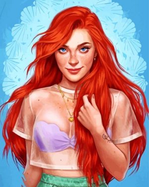 modern ariel art paint by number