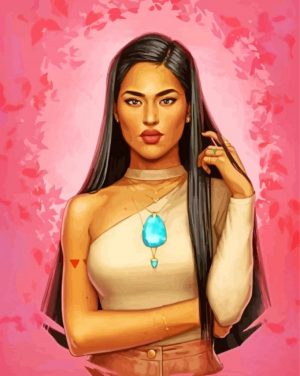 modern pocahontas art paint by number