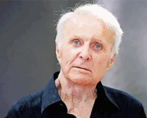 old Robert Conrad paint by numbers