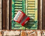 Red Accordion paint by numbers