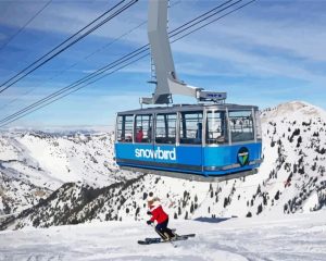 Snowbird Utah paint by numbers