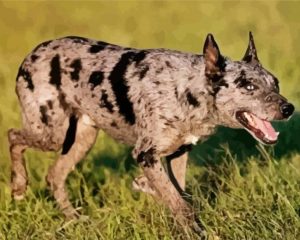 Hanging Tree Dog Dog paint by numbers