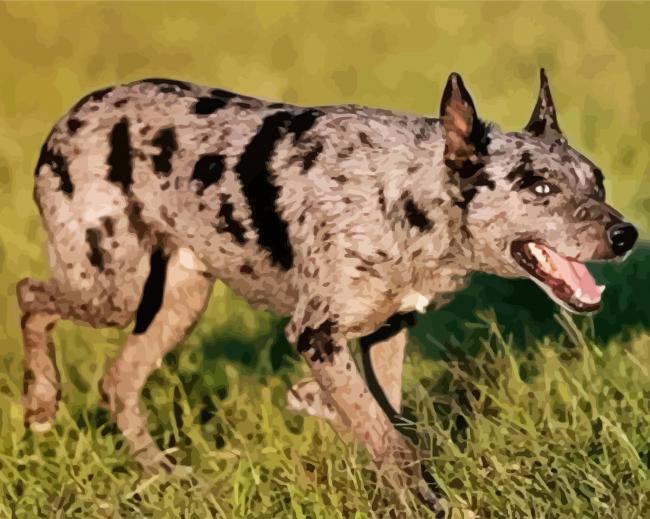 Hanging Tree Dog Dog paint by numbers