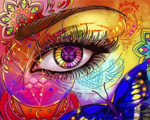 Lady Eye Butterfly paint by numbers