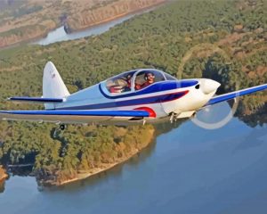 Red Swift Airplane paint by numbers