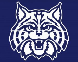 University of ARIZONA Wildcats Logo paint by numbers