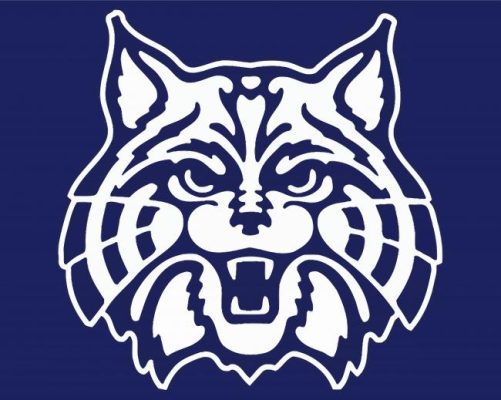 University of ARIZONA Wildcats Logo paint by numbers 