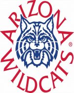 University of ARIZONA Wildcats paint by numbers