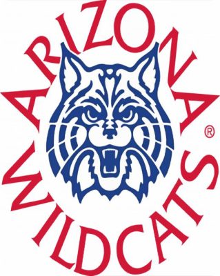 University of ARIZONA Wildcats paint by numbers