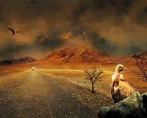 Valley of Death paint by numbers