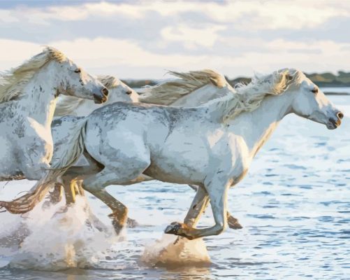White Wild Horses Running Through Canyon paint by numbers