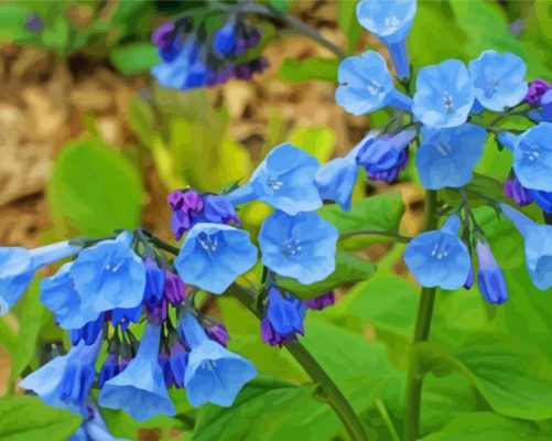 Aesthetic Bluebells paint by numbers