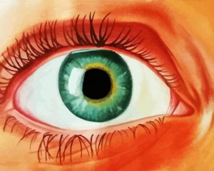 Aesthetic Lady Eye paint by numbers