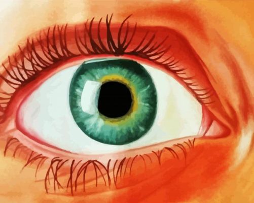 Aesthetic Lady Eye paint by numbers