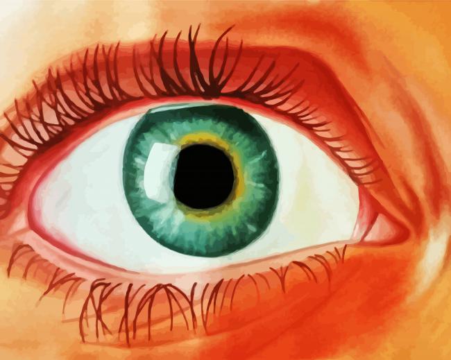 Aesthetic Lady Eye paint by numbers