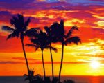 Aesthetic Hawaiian Sunset paint by numbers