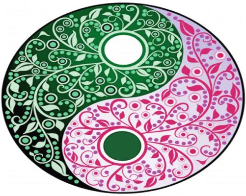 Pink And Green Yin Yang Mandala paint by number