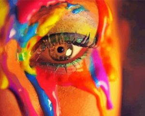 Colorful Lady Eye paint by numbers