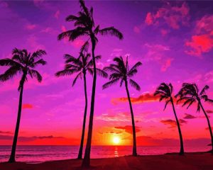 hawaiian sunsets paint by numbers