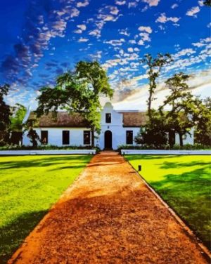 House In Stellenbosch paint by numbers