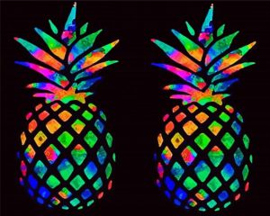 Colorful Pineapples paint by numbers